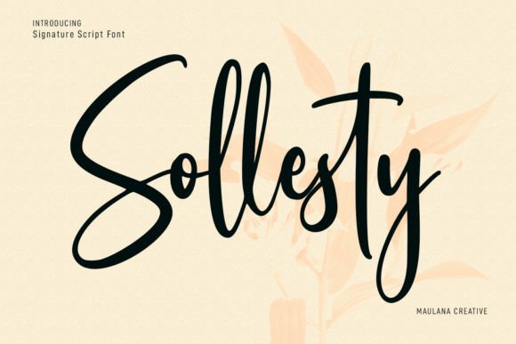 Enhance Your Web Design with Sollesty, the Elegant Script Font